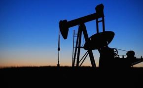 Нефть начала падать в цене
