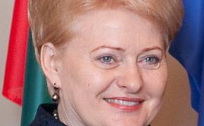 Президент Литвы готова к защите в случае военного "вторжения" России
