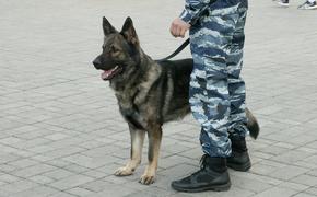 В Ростове уволили отделение полицейских из-за запрещенных средств