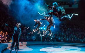 В Челябинский цирк приезжает шоу «Гиппопотамус»