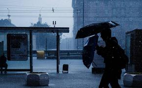 Синоптики предупреждают о ливнях и грозах в Москве вечером 7 июля