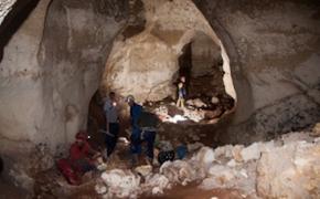 В пещере возле «Тавриды» нашли захоронения древних животных -15 мешков с костями