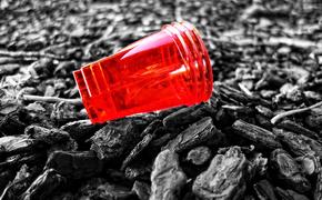 СПЧ выступил с предложением отказаться от пластика