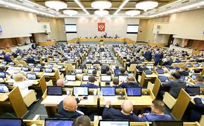 В Госдуме высказались о задержании гражданки России в США