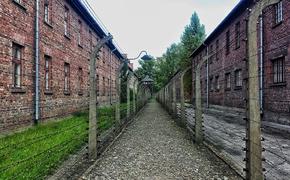 Туристов задержали и оштрафовали за попытку украсть кирпичи из Освенцима