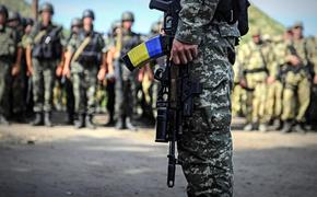 Бывший министр обороны Украины рассказал о бедственном состоянии армии