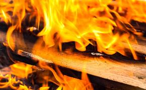 Учеными создана искусственная огнестойкая древесина