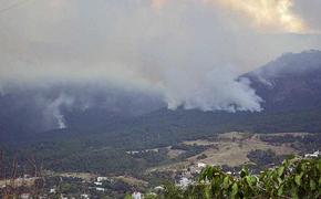 Лесной пожар  в Ялте в ущелье Уч-Кош полностью ликвидирован