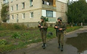 В ЛНР раскрыли основные причины гибели украинских силовиков в Донбассе