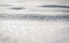 Первый снег выпал в Кемеровской области
