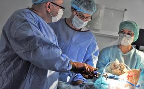 Челябинские врачи клиники "Канон" вернули пациенту здоровые колени