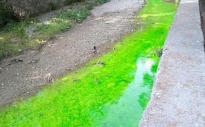 Река Дерекойка в Ялте окрасилась в ядовито-салатовый цвет,  напугав жителей