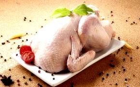 Опасная курица! Отечественные производители пичкают свою птицу антибиотиками