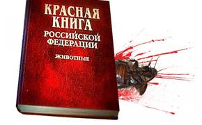 Кто вычёркивает редких животных из Красной книги России?