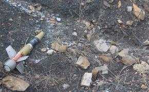 На Донбассе погиб мирный житель от некачественного украинского боеприпаса
