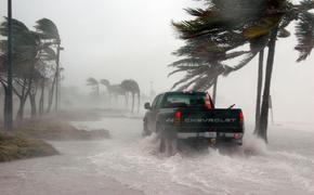 Специалисты подсчитали примерную сумму ущерба от урагана "Флоренс"