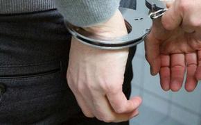 В Ленинградской области задержаны подозреваемые в каннибализме мужчина и девочка