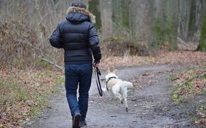 Москвичка, гуляя с собакой, смогла дать отпор насильнику