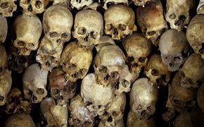 Ученые выяснили, как погибли люди в Геркулануме в 79 году н. э.