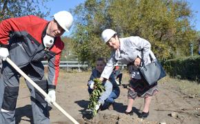 Ветераны и работники ВгАЗа высадили более 200 саженцев деревьев и кустарников