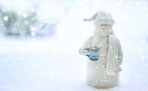 В Британии раскритиковали гендерно-нейтральных снеговиков