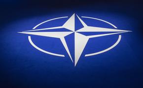 Госдума советует европейцам исключить США из НАТО