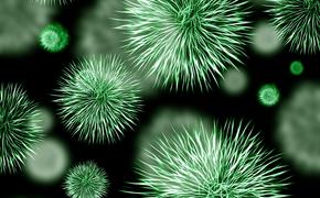 Эксперты раскрыли простые правила, как предохраняться от вирусов и гриппа