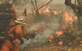 Количество погибших при пожарах в Калифорнии вновь увеличилось