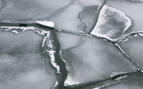 В Якутии восемь человек унесло в море Лаптевых на отколовшейся льдине