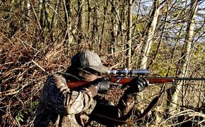 В Краснодарском крае охотник случайно застрелил приятеля