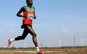 Вся жизнь – марафон или почему кенийцы непобедимы в забегах на длинные дистанции