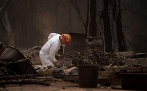Жертвами пожаров в Калифорнии стали 84 человека