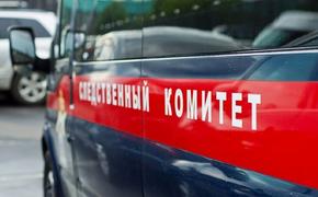 В СК РФ прокомментировали данные об алиби уфимских экс-полицейских