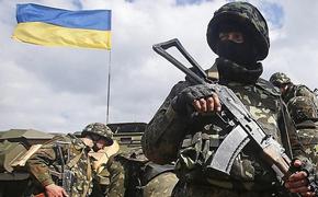 На Украине началась подготовка к войне с Россией