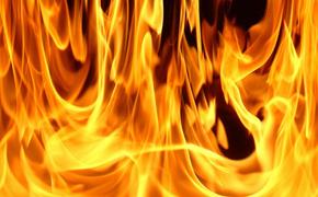 В Ярославской области в пожаре погибли трое детей