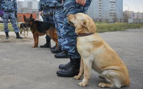 Десять московских ТЦ эвакуировали после сообщений о "заложенной бомбе"