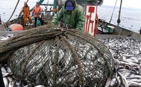 В Сахалинской области подвели итоги лососёвой путины 2018 года