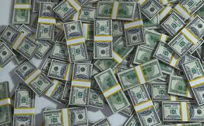 СМИ:  ЦБ раскрыл засекреченных  скупщиков крупных сумм валюты