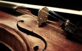 Почему скрипка занимает особенное место в искусстве многих жанров?