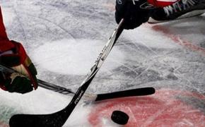 Новый рекорд: 34 тысячи мягких игрушек выбросили на лед фанаты хоккея