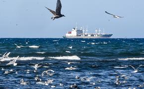 Официальный Киев признал разблокировку Азовского моря