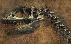 В китайском медном руднике нашли следы динозавров