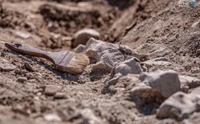 Благодаря крупному строительству в Крыму археологи сделали  немало открытий