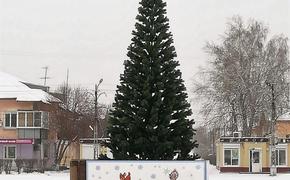 РМК подарила жителям Первомайского большую елку