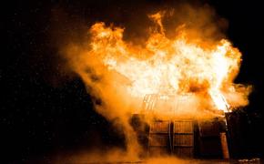В жилом доме в Подмосковье вспыхнул пожар, погибли два человека