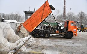 К завтрашнему дню в Москве выпадет еще 5 сантиметров снега