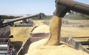 Российское зерно пойдёт в Таиланд и Боливию
