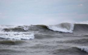 В Черном море, у берегов Крыма зафиксировали землетрясение магнитудой 3,7 балла