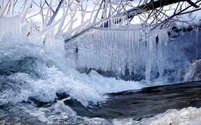 В Москву и соседние области пришли сильные морозы