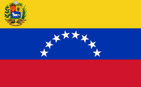 Лидер оппозиции стал самопровозглашённым президентом Венесуэлы